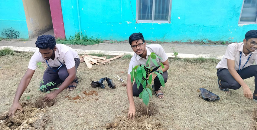 Plantation Drive