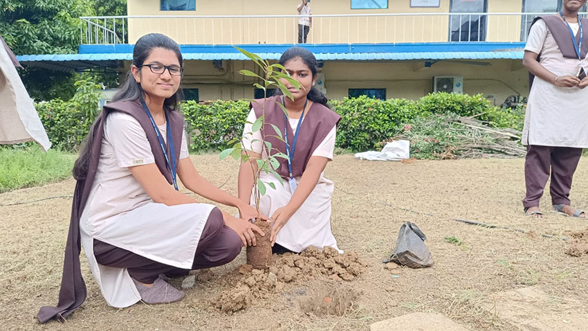 Plantation Drive