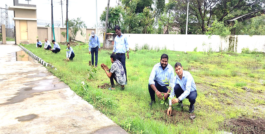 Tree Plantation Drive