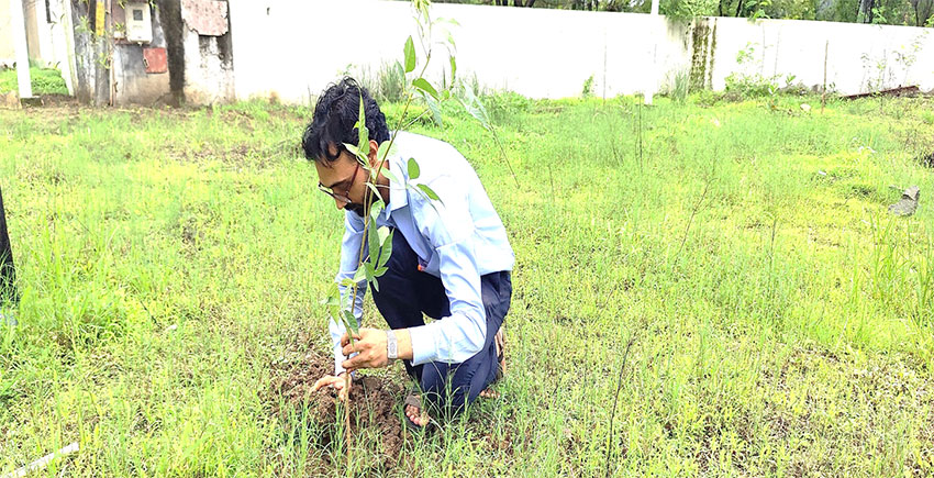 Tree Plantation Drive