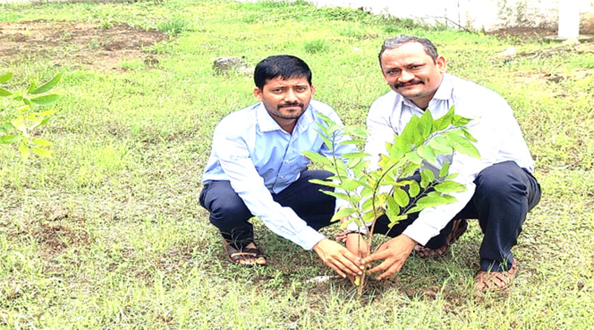 Tree Plantation Drive