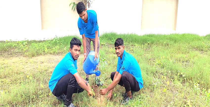 Tree Plantation Drive