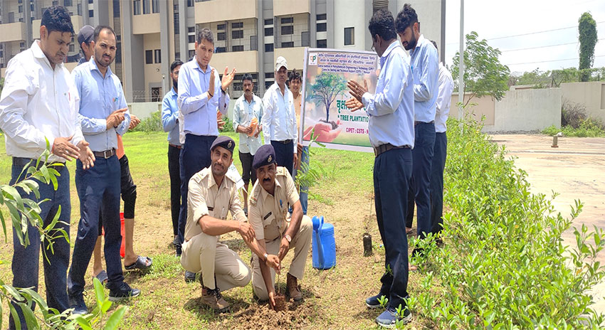 Tree Plantation Drive