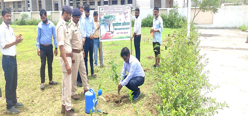 Tree Plantation Drive