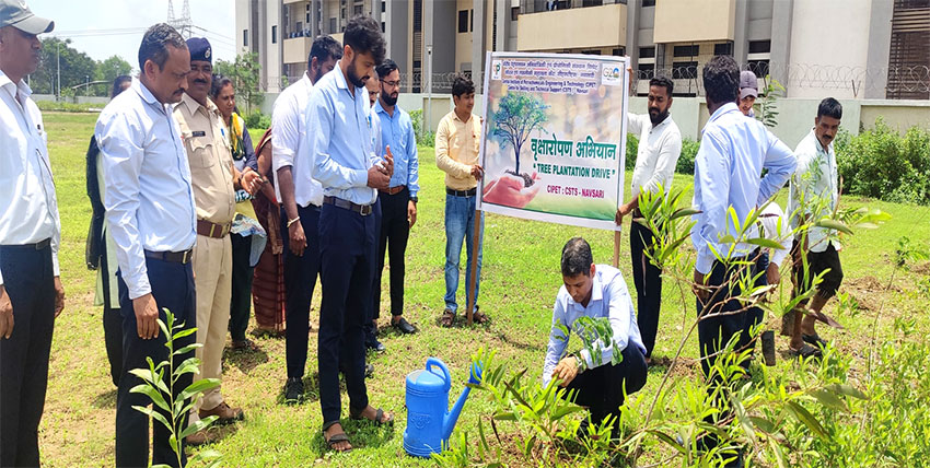 Tree Plantation Drive