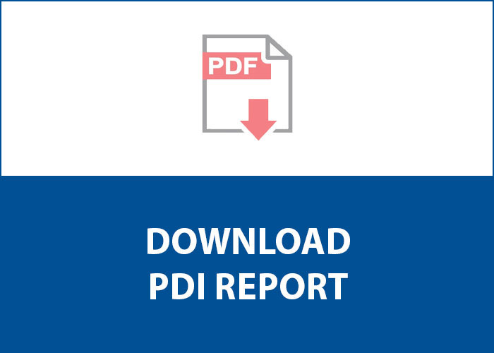 Download PDI Report