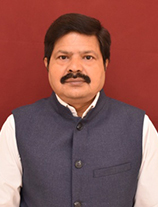 Mr. P. K. Sahoo