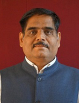 Mr. P. P. Diwasali