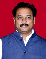Mr. P. Vijay Kumar